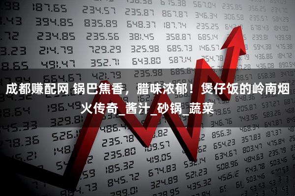 成都赚配网 锅巴焦香，腊味浓郁！煲仔饭的岭南烟火传奇_酱汁_砂锅_蔬菜